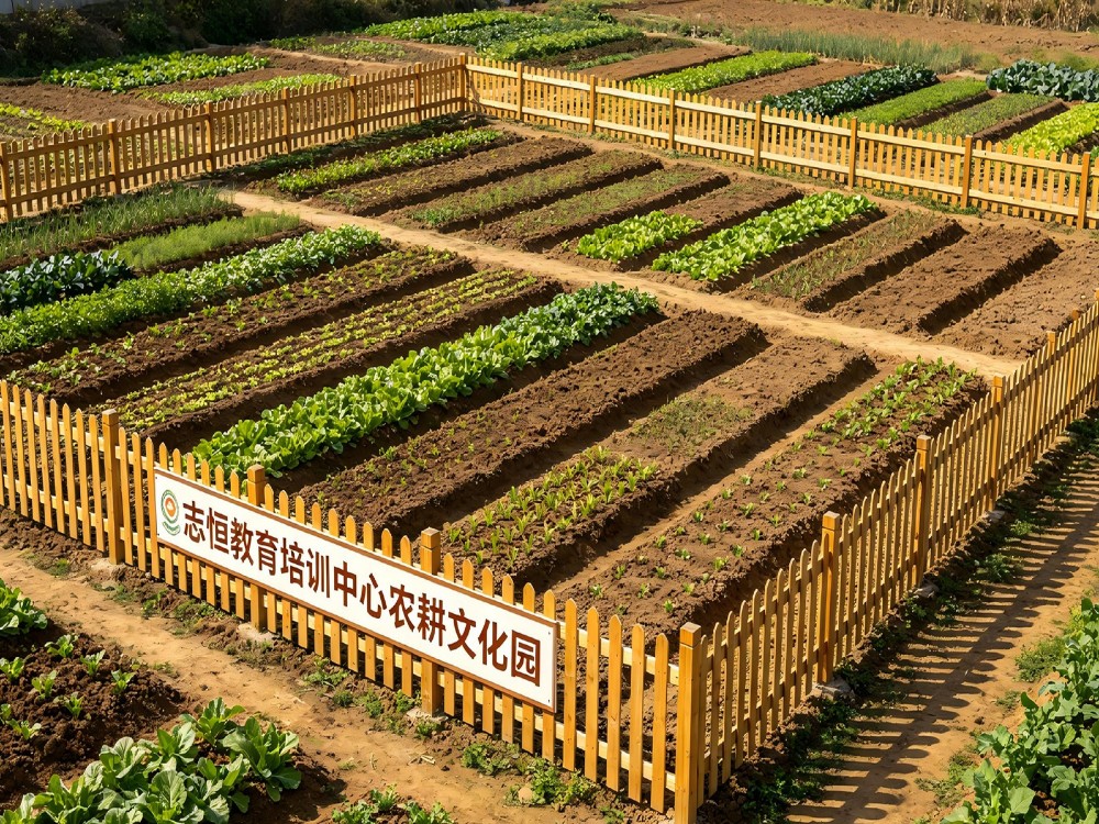 北海全封闭教育学校选择指南：破解青春期教育难题的实战方案